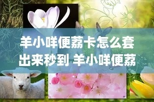绑羊小咩便荔卡提现攻略，揭秘操作流程及注意事项