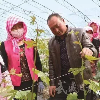 武威做什么能赚钱的多些—深度解析与案例分享