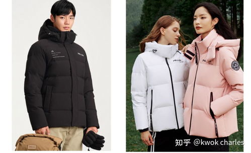 伯希和户外品牌，探索自然的极致选择