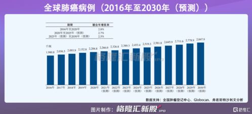 贝达医药品牌总监的全面解析