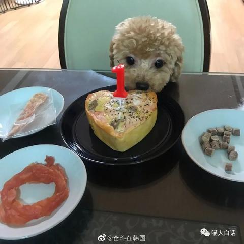 揭秘！如何巧妙查看女朋友微信聊天记录，避免误会与争吵