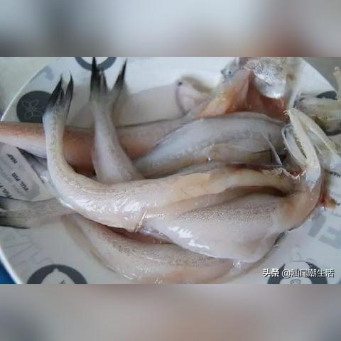 汕尾虾点餐饮品牌探秘