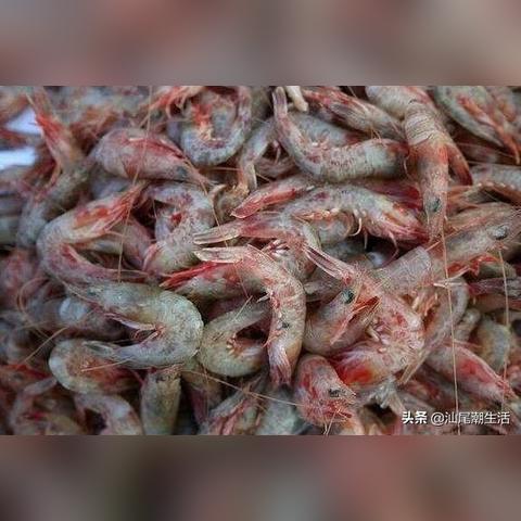 汕尾虾点餐饮品牌探秘