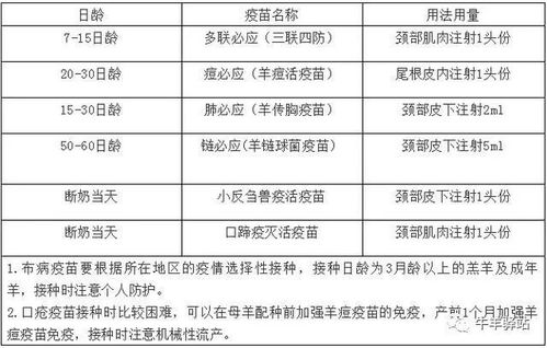 羊小咩便荔卡套出来方法大揭秘，费用明细及案例分享