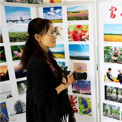 内蒙赚钱好项目大解析，探寻商机，共创财富高峰
