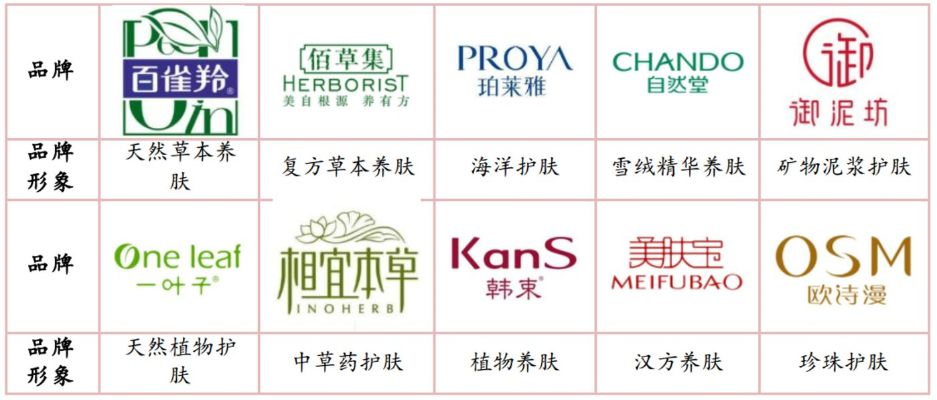 国货化妆品洗护品牌崛起之路