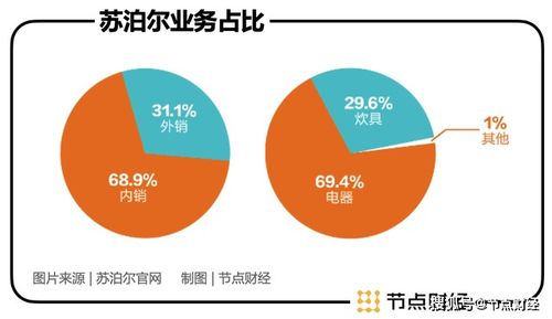 苏泊尔小家电品牌总监的职场智慧与策略