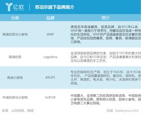 苏泊尔小家电品牌总监的职场智慧与策略