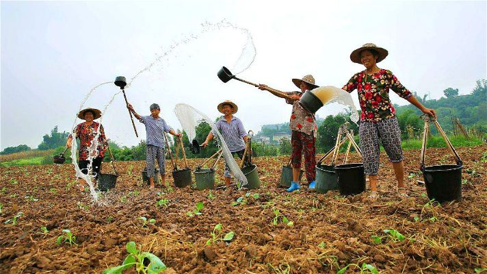 种地致富的步骤与关键要素解析