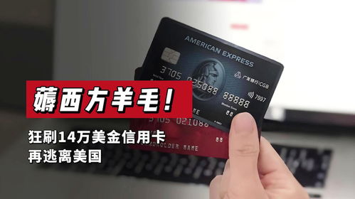羊小咩便荔卡套出来反套路，揭秘信用卡新玩法！