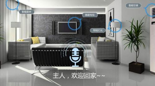 装修家电选购指南，品牌与性价比的完美结合