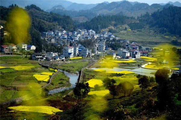 重庆秀山靠什么致富的—深度解析与实地探访