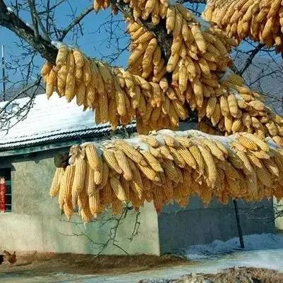 微信聊天记录大揭秘，教你轻松找回那些珍贵的回忆！