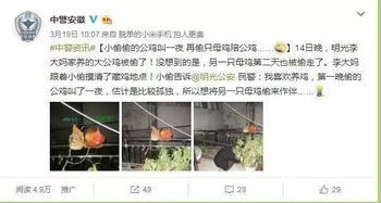 帮你轻松提现，羊小咩便荔卡让你随时随地享受便捷服务
