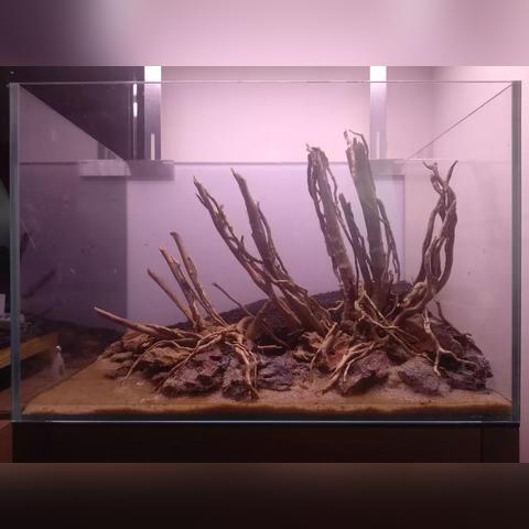 南美家居品牌风采
