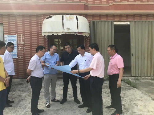 汤阴地区的致富项目探索与案例分析