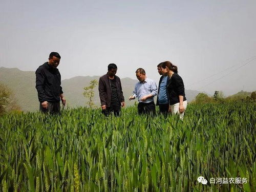 两亩地种什么能致富？看我一一揭秘