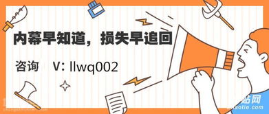无法发家致富的真相，原因解析与案例剖析
