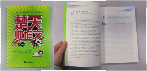 揭秘羊小咩便荔卡套，价格大揭秘！