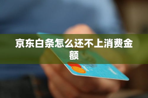 附近商店京东白条提现，轻松搞定资金周转！