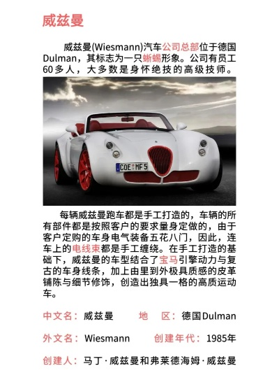 汽车品牌威的全方位解析