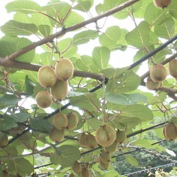 年轻人何以致富，激情、创新与努力的结合