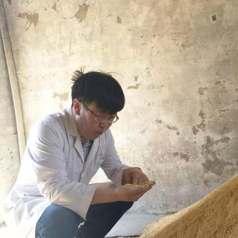 年轻人何以致富，激情、创新与努力的结合