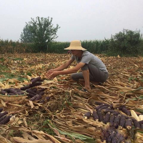 年轻人何以致富，激情、创新与努力的结合