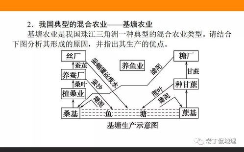 餐饮品牌分布的区位选择与策略