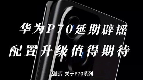 品牌大揭秘，从入门到高端的全面解析