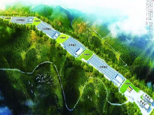 山林致富新路径，探索现代山林经济的多元财富源泉