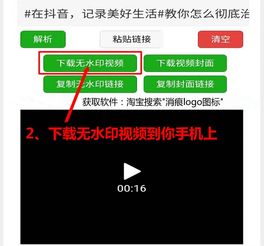 揭秘抖音月付攻略，轻松帮人套出月付福利，快来学学！