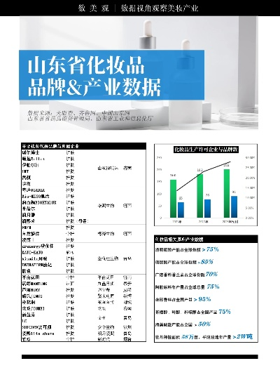 山东品牌家居价格概览与案例解析