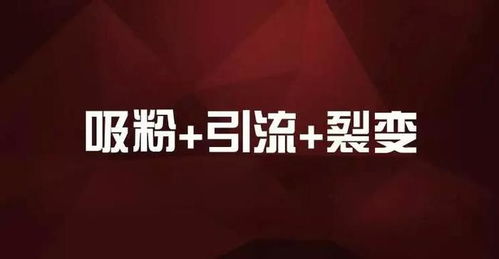 揭秘抖音月付提现那些事儿，不提现的真相与攻略