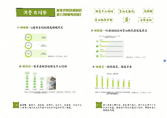 母婴品牌传播年度计划书