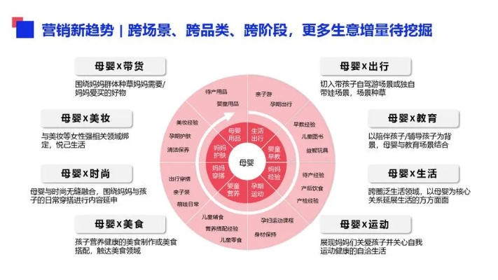 母婴品牌传播年度计划书