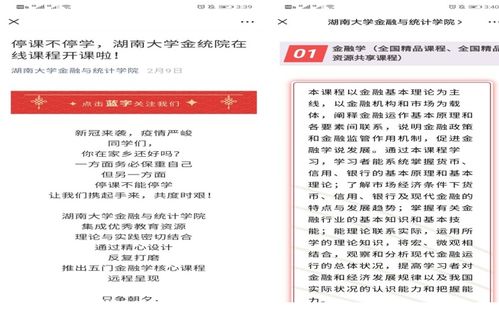 羊小咩便荔卡套出来订单，揭秘电商新玩法背后的故事