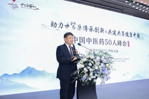 中医药品牌峰会，传承与创新的交响曲