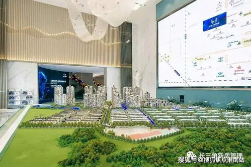 山东品牌单簧管厂家电话及案例解析