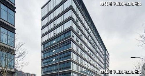 山东品牌单簧管厂家电话及案例解析