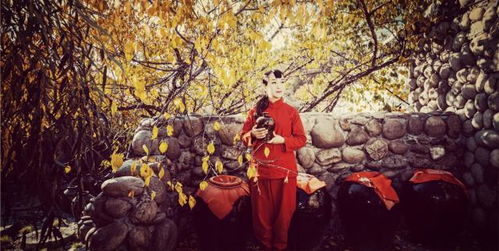 帮朋友套羊小咩享花卡，能退回来吗？提现攻略大揭秘！