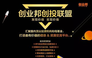 Shopify发家致富的秘密，从草根到电商巨头的成功之路