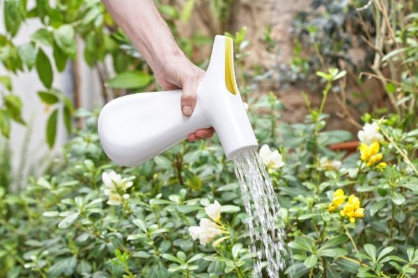 装修浇水品牌介绍