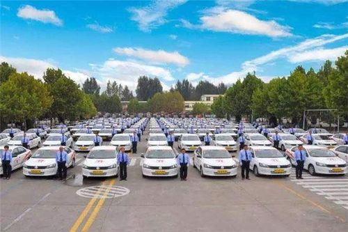 蓬安驾校如何加盟代驾业务全解析