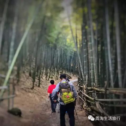 宁波旅程约车加盟指南，一步步教你如何成功加盟