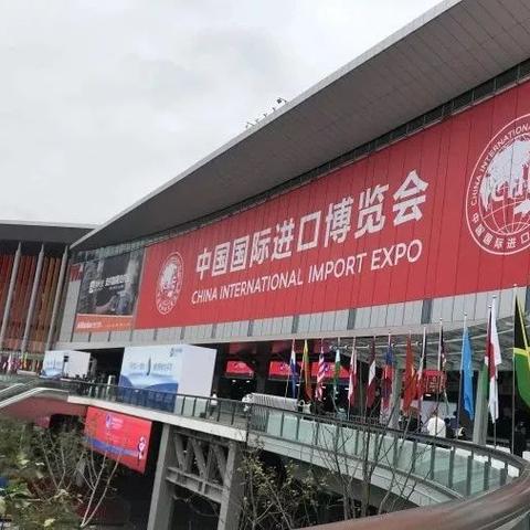 河北进口装修材料品牌精选与案例解析