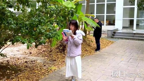 慈溪小家电品牌出租服务概览