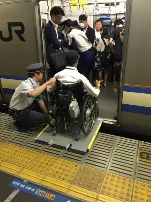 慈溪小家电品牌出租服务概览