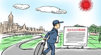 关于在农村创业的政策有哪些？听我一一解读，还有案例助你理解