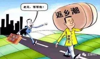 关于在农村创业的政策有哪些？听我一一解读，还有案例助你理解
